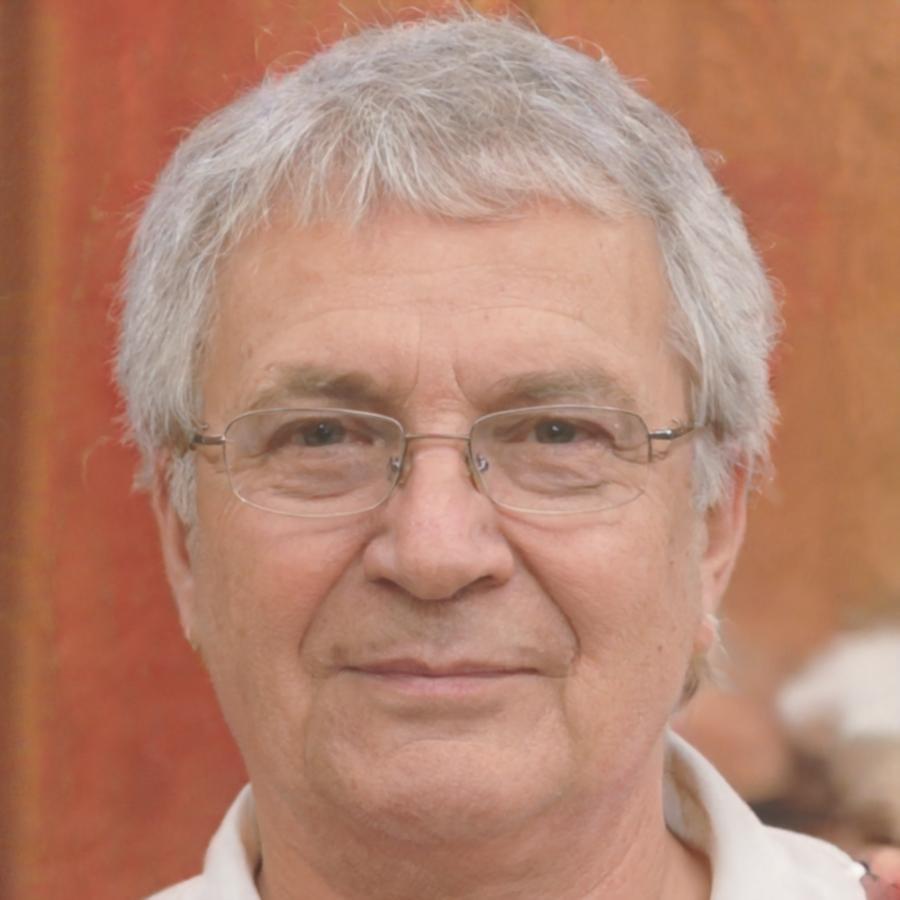 Webinar-Leiter